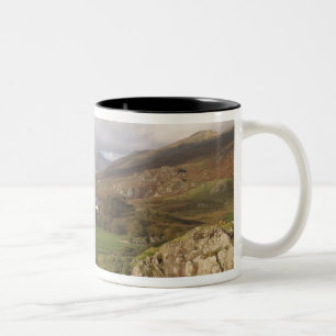 Snowdon vanaf Capel Curig, Gwynedd, Wales (RF) Tweekleurige Koffiemok