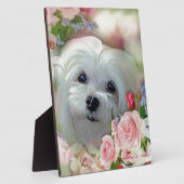 Snowdrop de Maltese Fotoplaat (Zijkant)