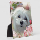 Snowdrop de Maltese Fotoplaat (Zijkant)