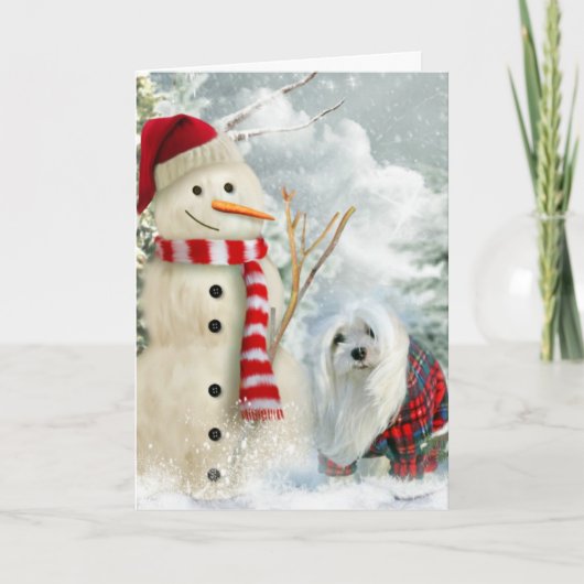 Snowdrop de Maltese kerstkaart Feestdagen Kaart (Voorkant)