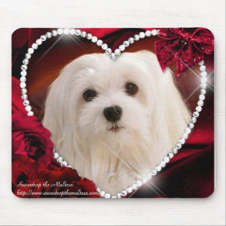 Snowdrop de Maltese Muismat