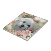 Snowdrop de Maltese Tegeltje (Zijkant)