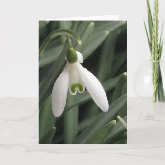 Snowdrop Feestdagen Kaart (Voorkant)