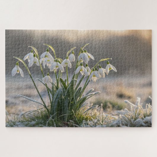 Snowdrop Frost Puzzel - Delicate Winter Natuur Art Legpuzzel (Horizontaal)