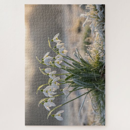 Snowdrop Frost Puzzel - Delicate Winter Natuur Art Legpuzzel (Verticaal)