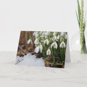 Snowdrop Gezegelde Imbolische Pagan Wiccan Greetin Feestdagen Kaart