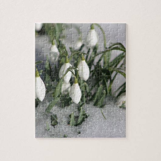 Snowdrop Legpuzzel (Verticaal)
