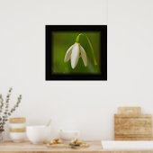 Snowdrop Poster (Keuken)