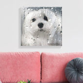 Snowdrop, toile maltaise Imprimer (Insitu(Salon))