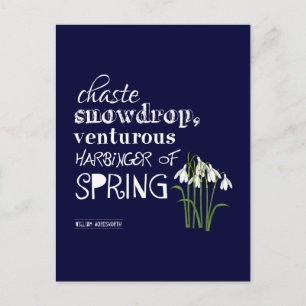 Snowdrop, Venturous Harbinger van de lente Briefkaart