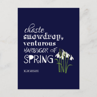 Snowdrop, Venturous Harbinger van de lente Briefkaart