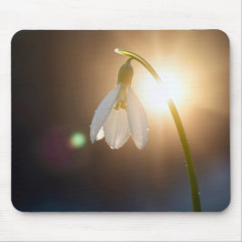 Snowdrop with Dewdrops in Sunlight Muismat
