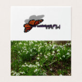 Snowdrops (Outside Unfolded)