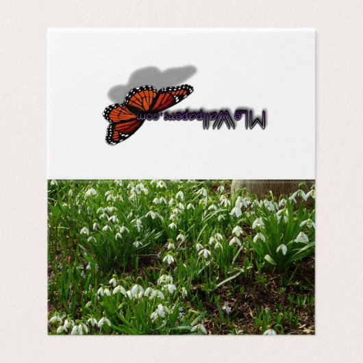 Snowdrops (Outside Unfolded)