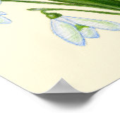 Snowdrops art print. poster (Hoek)