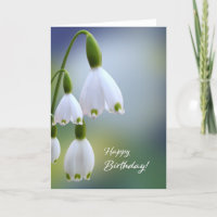 Snowdrops Bonne Carte d'Anniversaire