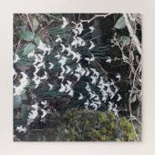 Snowdrops de printemps Jigsaw Puzzle (Horizontal)