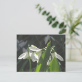 Snowdrops DIY Briefkaart (Staand voorkant)