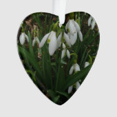 Snowdrops I (devant)