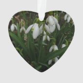 Snowdrops I (dos)