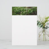 Snowdrops II (Galanthus) Spring Floral Briefpapier (Staand voorkant)