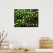 Snowdrops II (Galanthus) Spring Floral Poster (Keuken)