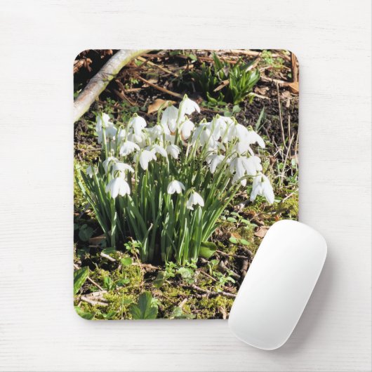 SNOWDROPS MUISMAT (Met muis)