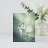 Snowdrops Nature Photo Carte postale (Debout devant)