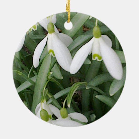 Snowdrops Ornament (Achterkant)