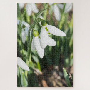 Snowdruppelbloemen Legpuzzel