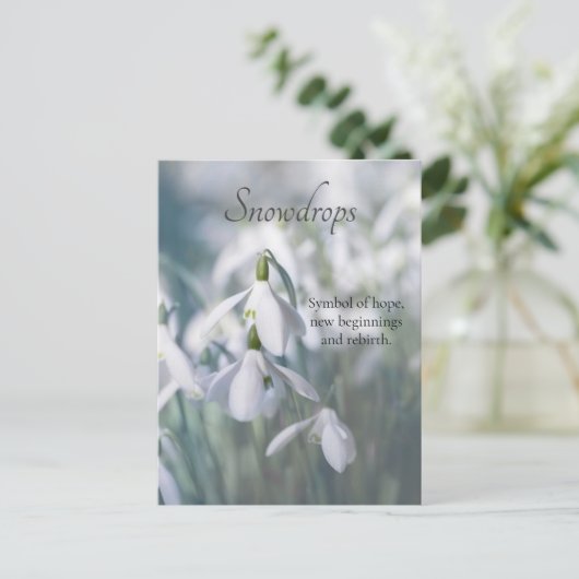 Snowdruppels Briefkaart (Staand voorkant)
