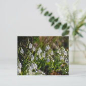 Snowdruppels Briefkaart (Staand voorkant)