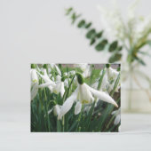 Snowdruppels Briefkaart (Staand voorkant)