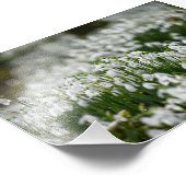 Snowdruppels Foto Afdruk (Hoek)