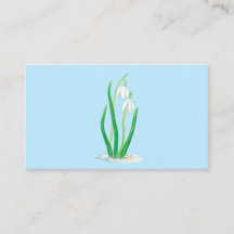 Snowdruppels (Galanthus nivalis) Vroege lentbloeme