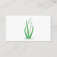 Snowdruppels (Galanthus nivalis) Vroege lentbloeme