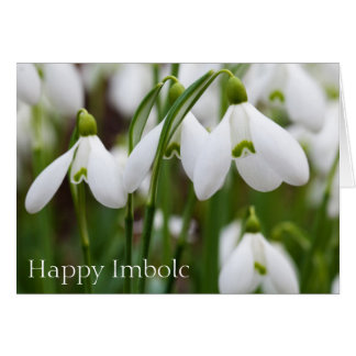 Snowdruppels - Happy Imbolc