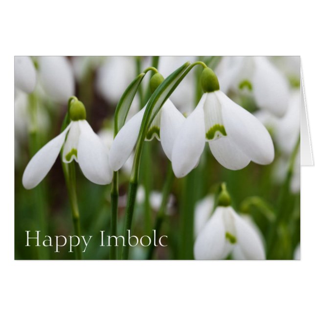 Snowdruppels - Happy Imbolc (Voorkant Horizontaal)