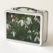 Snowdruppels I (Galanthus) White Spring Flowers (Achterkant)