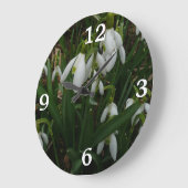 Snowdruppels I (Galanthus) White Spring Flowers Grote Klok (Hoek)
