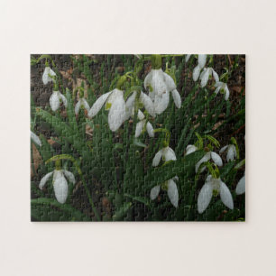 Snowdruppels I (Galanthus) White Spring Flowers Legpuzzel