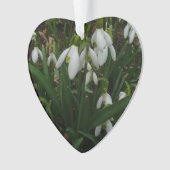Snowdruppels I (Galanthus) White Spring Flowers Ornament (voorkant)
