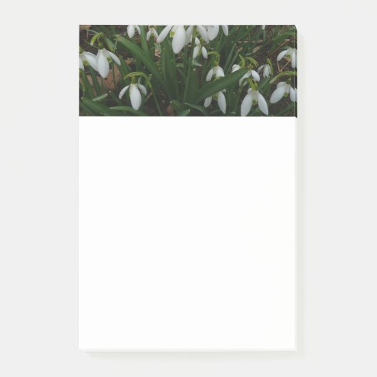 Snowdruppels I (Galanthus) White Spring Flowers Post-it® Notes (Voorkant)