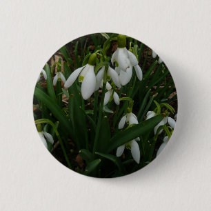 Snowdruppels I (Galanthus) White Spring Flowers Ronde Button 5,7 Cm