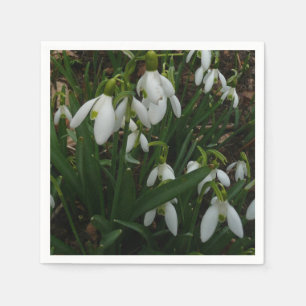 Snowdruppels I (Galanthus) White Spring Flowers Servet