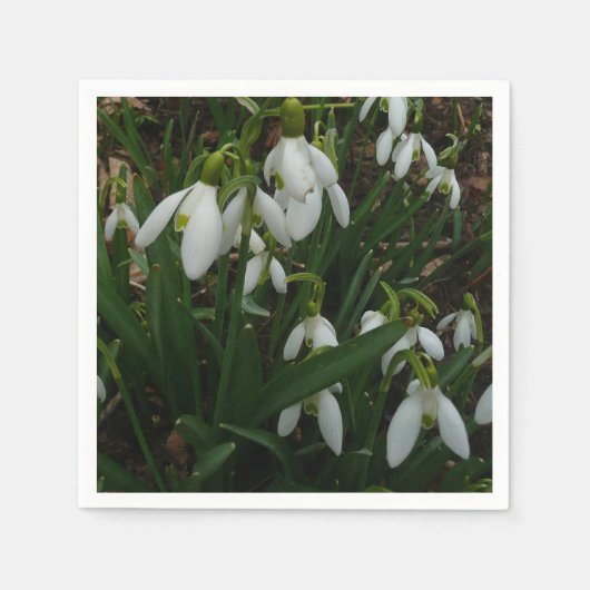 Snowdruppels I (Galanthus) White Spring Flowers Servet (Voorkant)