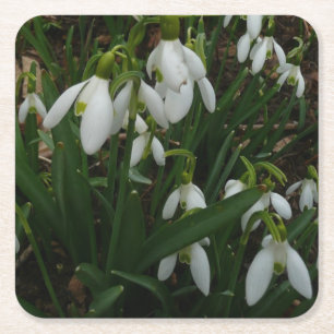 Snowdruppels I (Galanthus) White Spring Flowers Vierkante Kartonnen Onderzetter