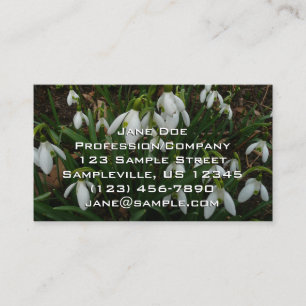 Snowdruppels I (Galanthus) White Spring Flowers Visitekaartje