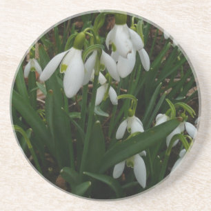 Snowdruppels I (Galanthus) White Spring Flowers Zandsteen Onderzetter