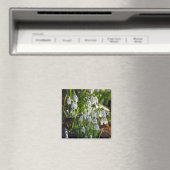 Snowdruppels Magneet (Insitu (Vaatwasser))